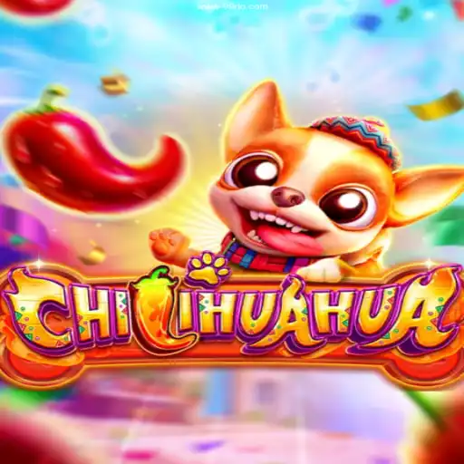 Explore the Thrills of CHILIHUAHUA at 99Rio.Com